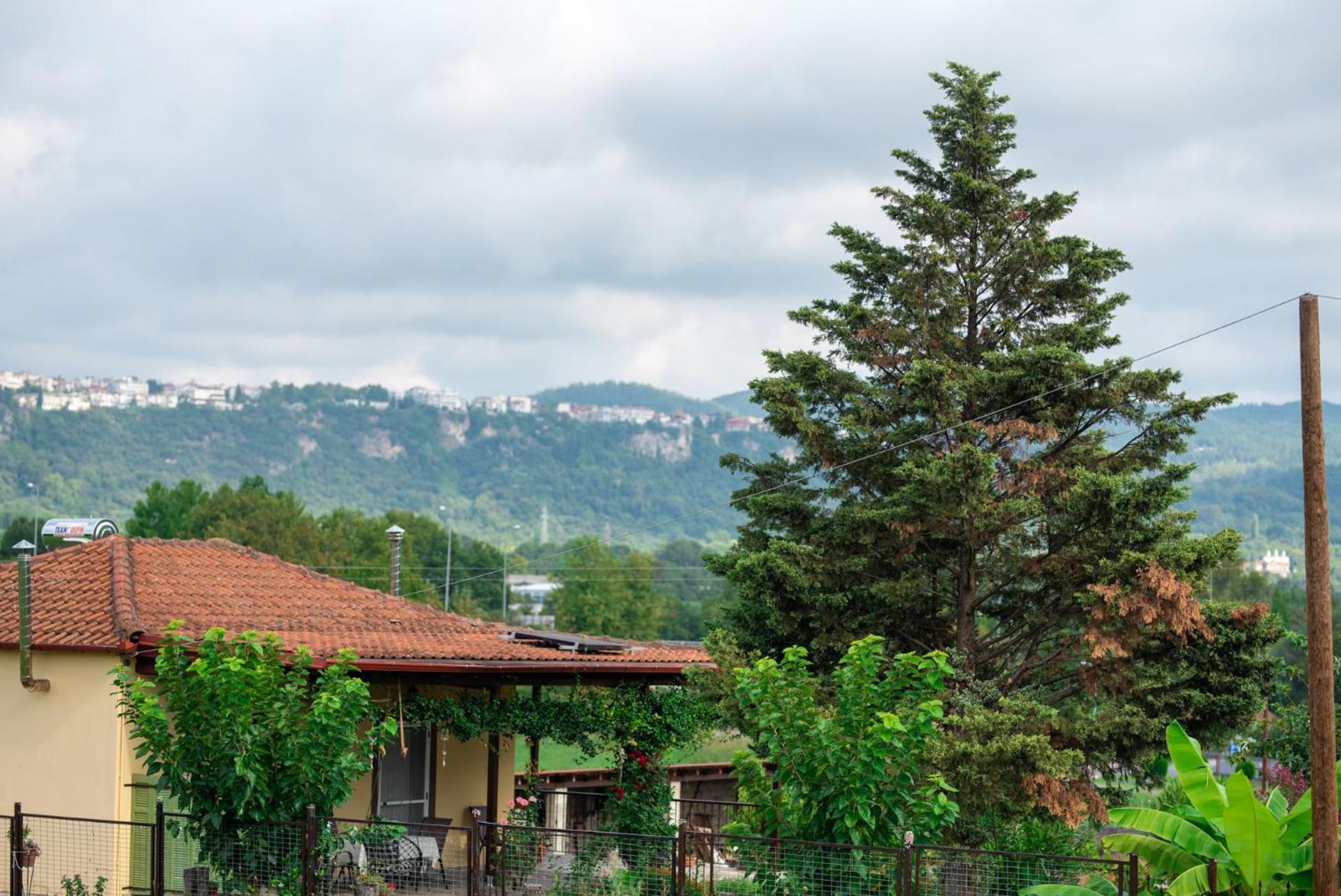Cottage Lina Έδεσσα Εξωτερικό φωτογραφία